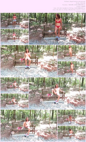 Todays Update Todays Update