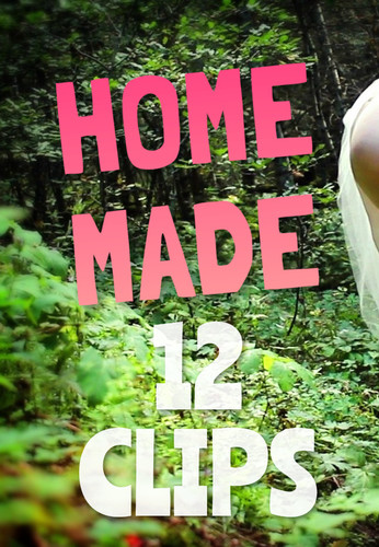 Homemade 12 Clips