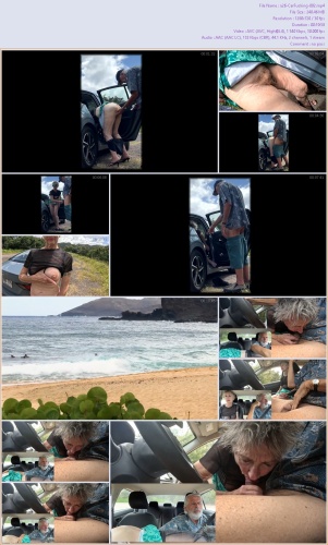 Couple Homemade Car Sex